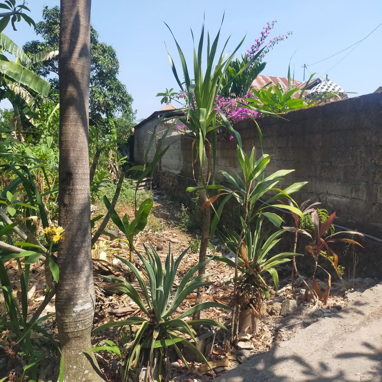 Tanah Kosong